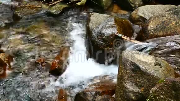 自然视频森林中的一个小瀑布雨后水流穿过岩石隐藏在森林中的瀑布视频的预览图