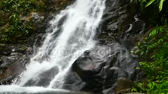 自然视频森林中的一个小瀑布雨后水流穿过岩石隐藏在森林中的瀑布视频的预览图