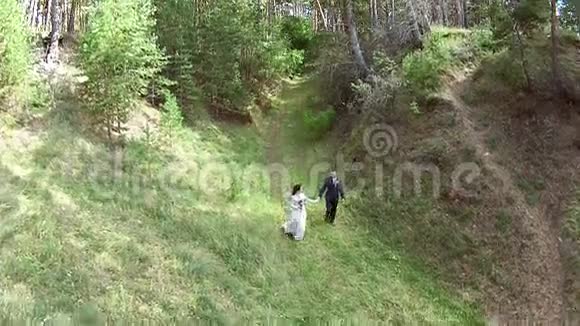 新婚夫妇沿着大森林散步视频的预览图