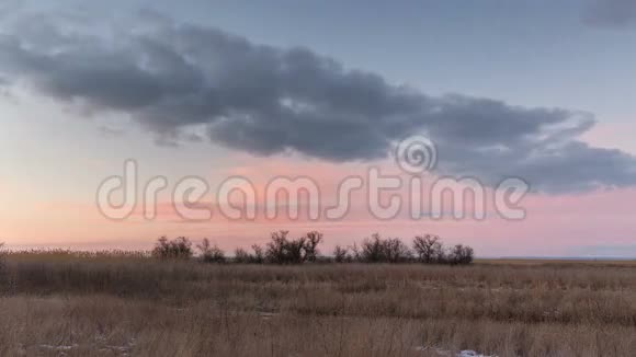 时光流逝俄罗斯冬天的夕阳带着淡紫色的云彩在草原的芦苇上视频的预览图