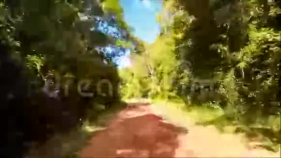 热带森林雨后沿阴影阳光土路行进视频的预览图