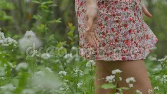 女孩触摸鲜花可见双手特写视频的预览图