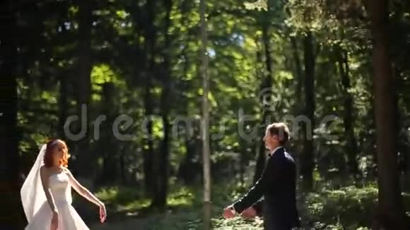 新郎新娘在阳光明媚的公园小巷里接吻视频的预览图
