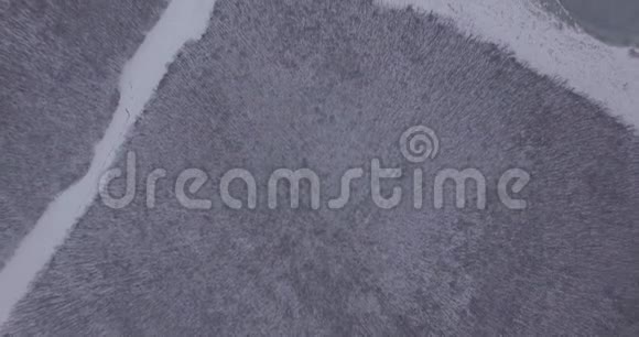 一个大湖空中摄影白雪覆盖的森林和一个冰冻的湖视频的预览图