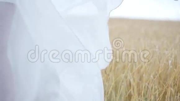 白衣服在风中翻腾麦田里穿白衣服的女孩视频的预览图