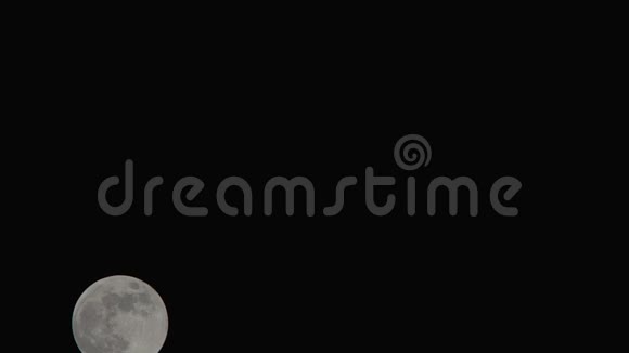 明月满月背景为纯黑色视频的预览图
