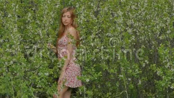 穿着短裙子的女孩在开花的时候视频的预览图