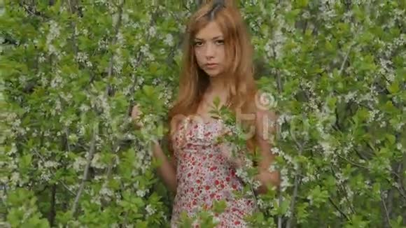 女孩在春天的花枝背景下微笑视频的预览图