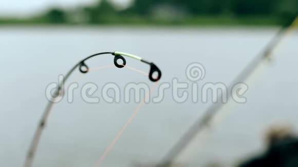 夏天河里的鱼竿鱼塘等鱼视频的预览图