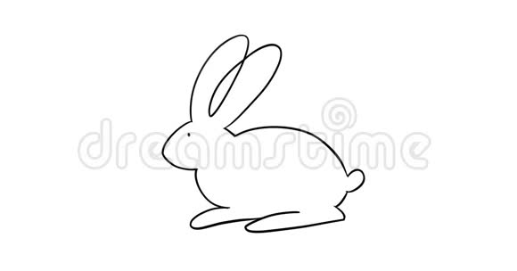 兔子涂鸦动画视频的预览图