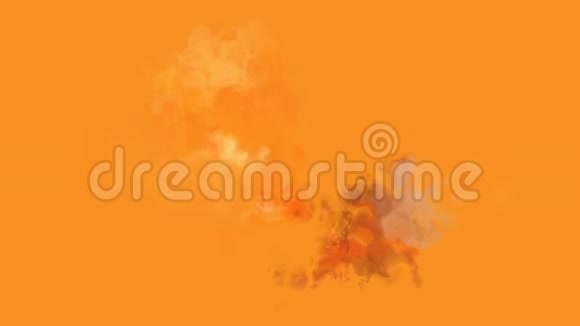 杏子的外表上有一个水彩污点视频的预览图
