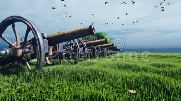 中世纪大炮在田野里在绿草中间的阴天战斗之前视频的预览图