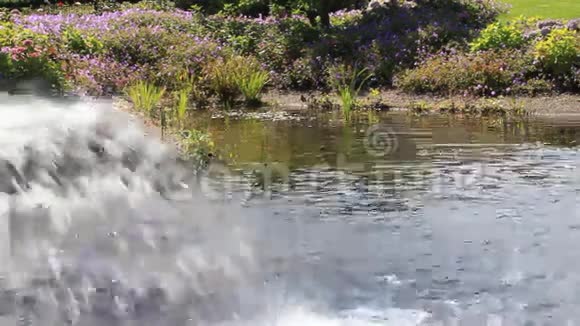 花园池塘里的瀑布视频的预览图