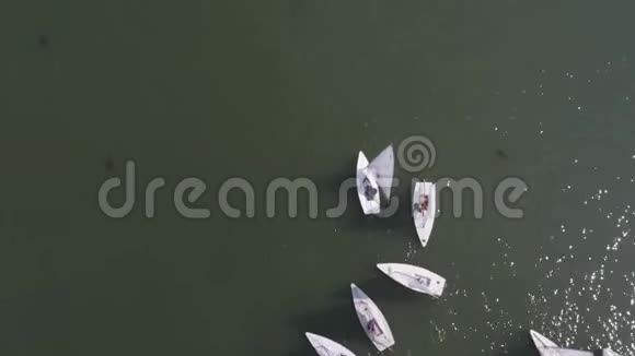 帆船漂浮在蓝色的湖水上帆船游艇和美丽海景的竞技运动视频的预览图