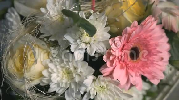 一束美丽的菊花花视频的预览图