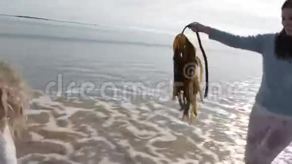 母亲带着海藻在海滩上追逐女儿视频的预览图