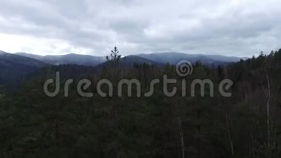 喀尔巴阡山脉和树林的空中景色视频的预览图