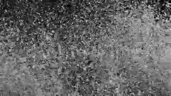 美丽的水纹理水滴在空气慢速运动中视频的预览图