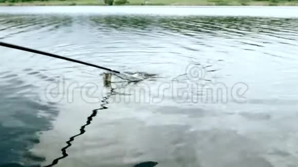 用网在河里钓鱼鱼在网上飞溅夏季捕鱼视频的预览图