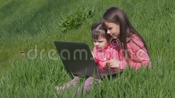 带着笔记本电脑在绿草上的小女孩阳光明媚的一天公园里的姐妹们穿粉色衣服的小女孩带着笔记本电脑视频的预览图