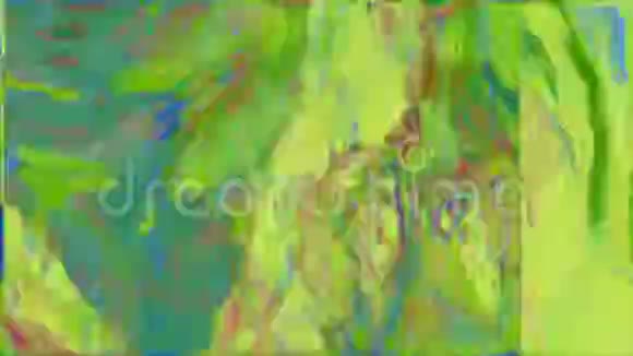 抽象动态未来主义潮流色彩背景循环录像视频的预览图