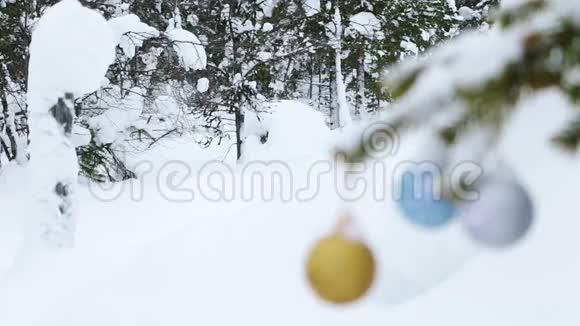 冬季森林和圣诞节大厅视频的预览图