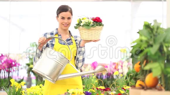 春天的概念微笑的女人花店带花篮和浇水罐视频的预览图