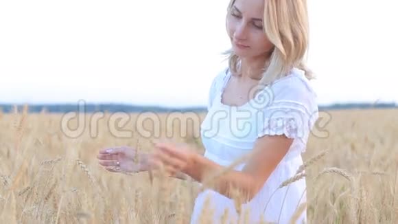 雌性手触摸麦田里的金色麦穗视频的预览图