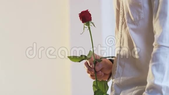 男人把红玫瑰送给女人她拿着它视频的预览图
