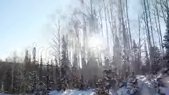 汽车沿着白雪皑皑的山路行驶的鸟瞰图和缓慢行驶的阳光透过树木视频的预览图