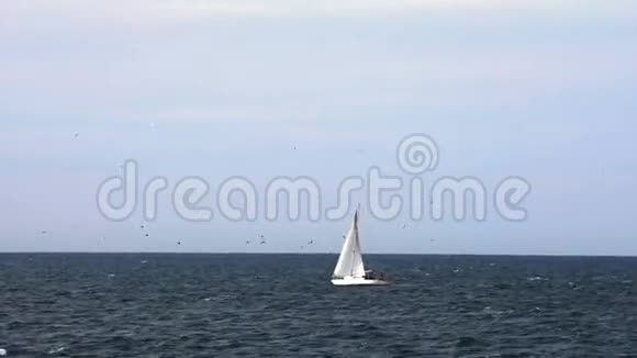 在海平面上的一艘帆船视频的预览图