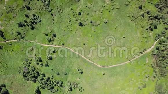 喀尔巴阡山脉步道的空中景观乌克兰顶部视图视频的预览图