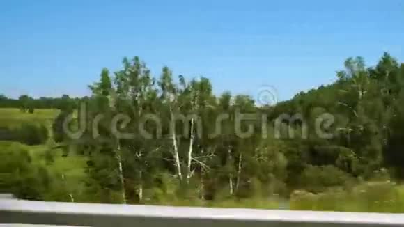 沿着绿色的山丘和树木快速移动POV视频的预览图