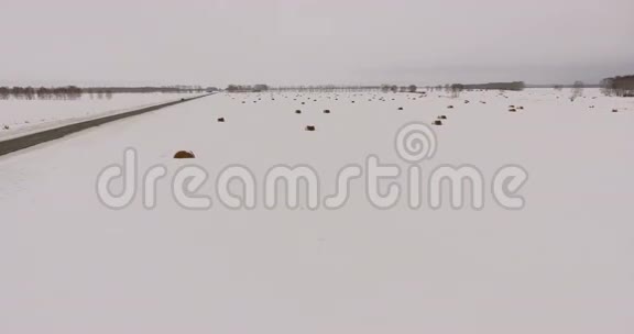 西伯利亚空中干草堆被作为宠物食物收获冬季视频的预览图