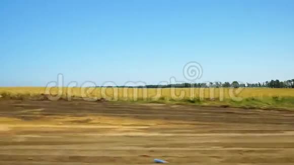 在俄罗斯沿着一个黄色的地面前进视频的预览图