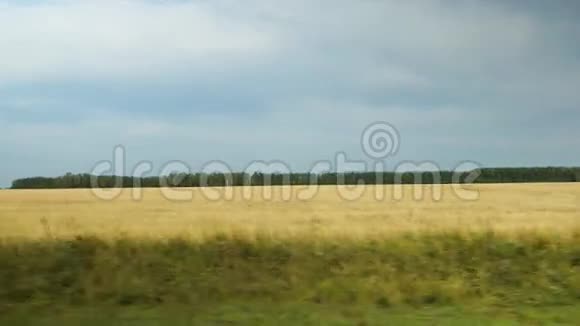 在多云POV的农田上移动视频的预览图