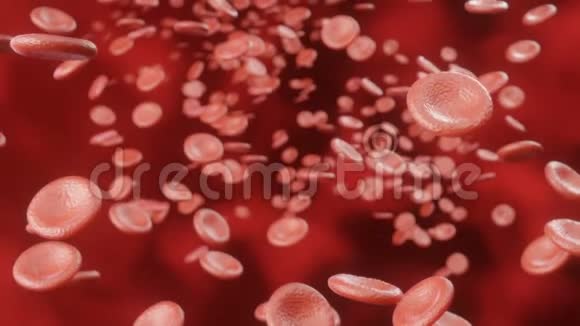 3血液中红细胞运动的D动画视频的预览图