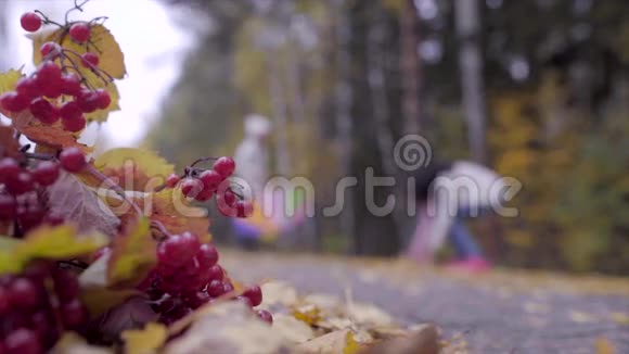可爱的少女们打着雨伞在秋天的森林里玩耍视频的预览图