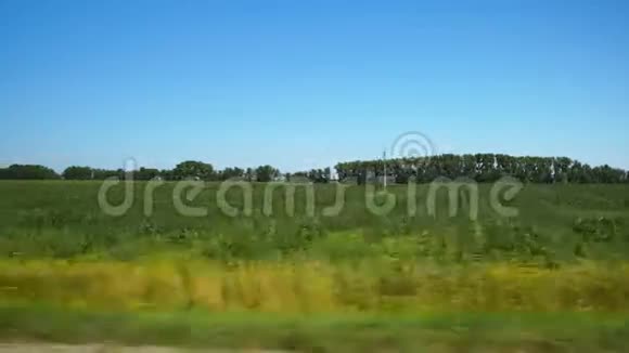 沿着绿色农业领域前进视频的预览图