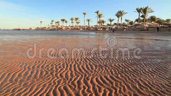 日落时海滩低潮埃及视频的预览图