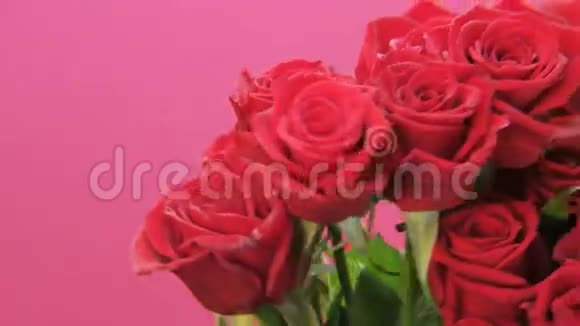 红玫瑰在粉红背景上旋转视频的预览图