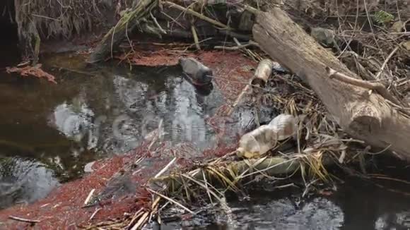 环境污染塑料瓶和垃圾漂浮在水中一条森林小溪视频的预览图