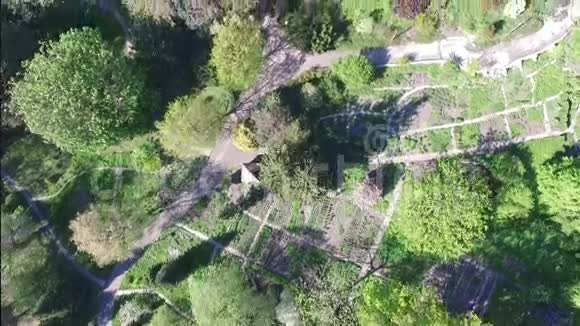 空中摄影春天公园树林视频的预览图