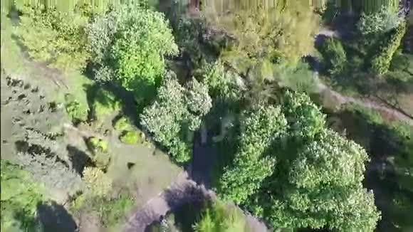 空中摄影春天公园树林视频的预览图
