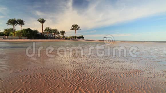 日落时海滩低潮埃及视频的预览图