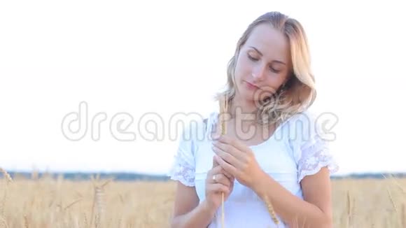 雌性手触摸麦田里的金色麦穗视频的预览图