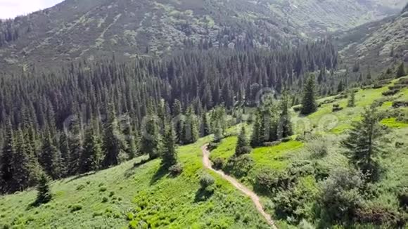 喀尔巴阡山脉步道的空中景观乌克兰视频的预览图