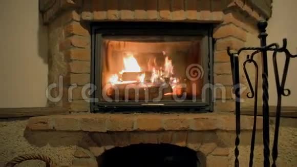 壁炉里有燃烧的原木的鹤射视频的预览图