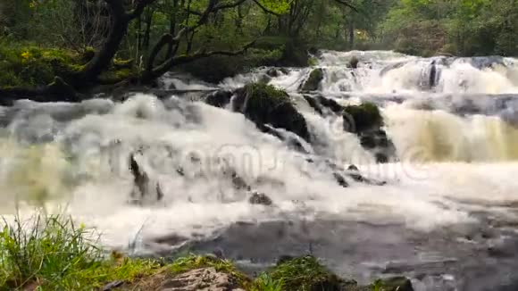 苏格兰高地的瀑布视频的预览图