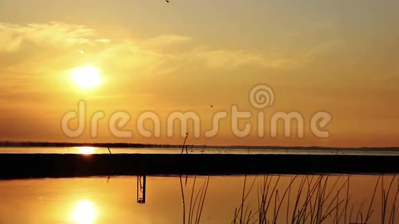 日落时分男孩沿着河走在码头上反射着年轻的孩子视频的预览图